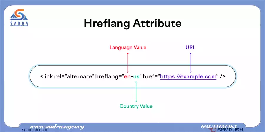 آژانس دیجیتال مارکتینگ صدرا